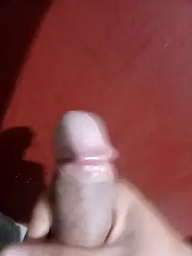 papi23l online show from 02/12/26, 07:47