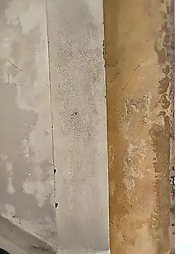 loyalboy 0052 online show from 02/08/26, 09:13