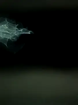 maharashtra boy mh19 online show from 03/18/26, 08:45