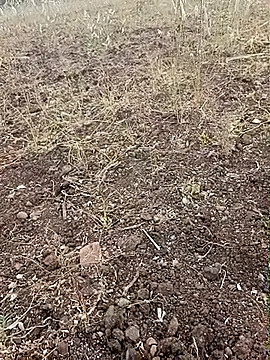 Snapshot of yusu_3 chatting on 02/23/26, 11:40 yusu 3 online show from 02/23/26, 11:40