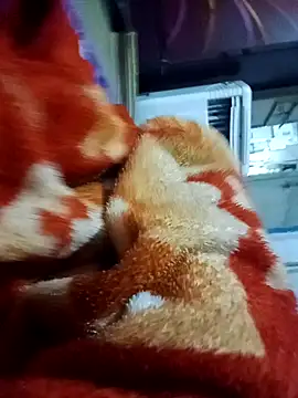 Snapshot of yusu_3 chatting on 03/19/26, 06:45 yusu 3 online show from 03/19/26, 06:45