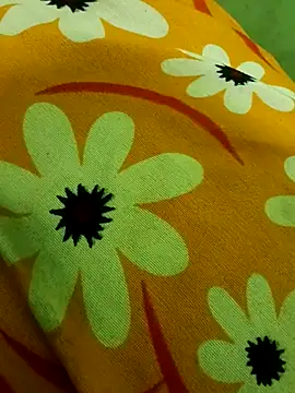 Snapshot of Ranjet01 chatting on 02/13/26, 01:29 Ranjet01 online show from 02/13/26, 01:29