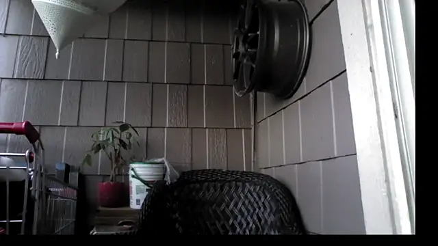 banans78 online show from 07/10/26, 10:45