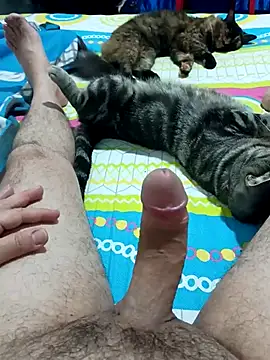 JFC161612 online show from 04/07/26, 06:14