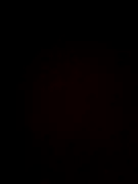 Snapshot of plump-bums chatting on 02/16/26, 12:56 plump-bums online show from 02/16/26, 12:56