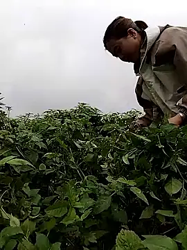 Snapshot of lovely-742 chatting on 02/28/26, 01:50 lovely-742 online show from 02/28/26, 01:50