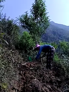 lovely-742 online show from 04/21/26, 08:42