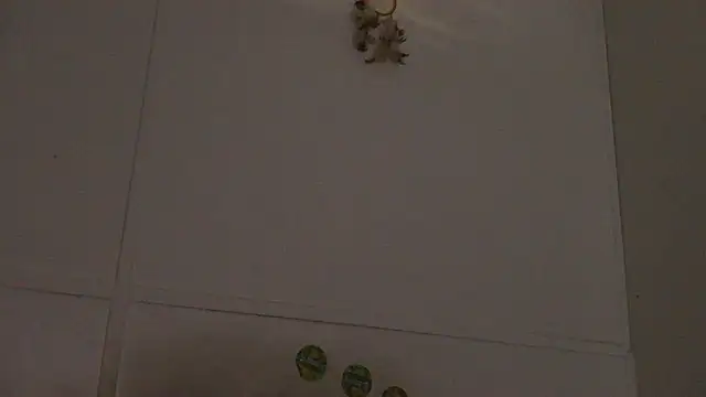 Snapshot of pbilip7787 chatting on 02/28/26, 10:00 pbilip7787 online show from 02/28/26, 10:00