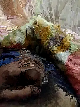 soni8850 online show from 02/15/26, 04:03