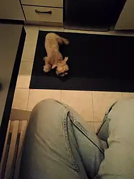 Ginevra01 online show from 03/09/26, 08:24