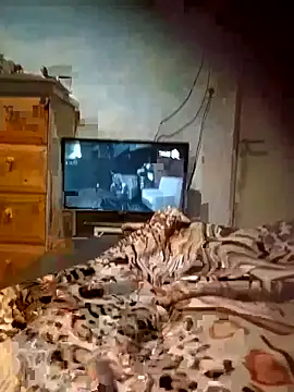 Morocha exotica00 online show from 03/21/26, 05:56