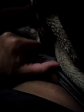 Snapshot of MoMnsi chatting on 02/25/26, 06:01 MoMnsi online show from 02/25/26, 06:01