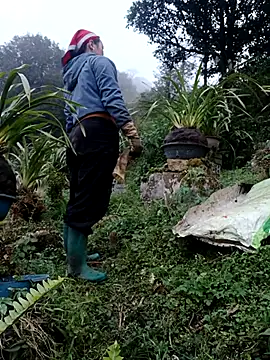 Snapshot of nelina_12345 chatting on 02/13/26, 10:44 nelina 12345 online show from 02/13/26, 10:44