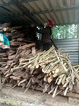 nelina 12345 online show from 04/15/26, 12:17