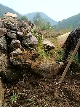 nelina 12345 online show from 04/23/26, 01:29