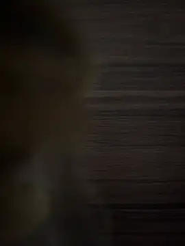 safadinhaputinha69 online show from 04/23/26, 12:51