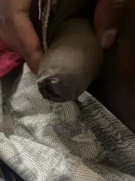 Snapshot of Magic_Spell_Tamil chatting on 02/20/26, 03:34 Magic Spell Tamil online show from 02/20/26, 03:34