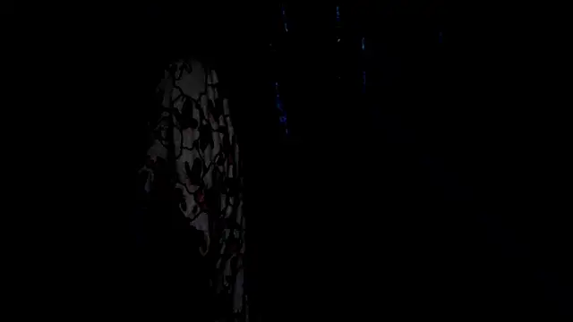 SassyXindian online show from 04/21/26, 05:17