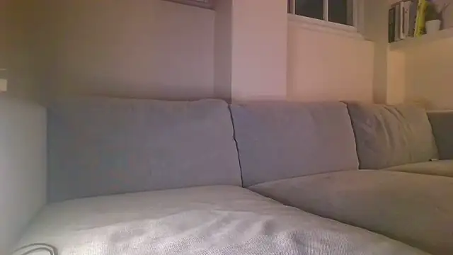 Snapshot of rhizomata chatting on 06/11/26, 11:36 rhizomata online show from 06/11/26, 11:36