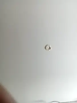 ladyyhardcore online show from 02/19/26, 12:50