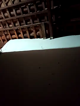 mykasantos20 online show from 02/14/26, 04:53