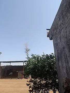 taniya0 online show from 04/23/26, 04:14