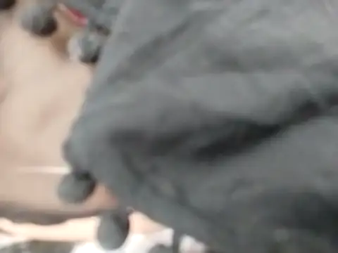 VeraVS online show from 02/20/26, 09:21