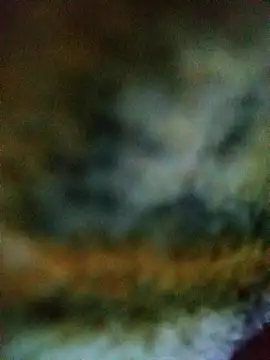 Snapshot of Avinh_09 chatting on 02/15/26, 04:31 Avinh 09 online show from 02/15/26, 04:31