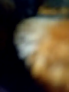 Snapshot of Avinh_09 chatting on 02/15/26, 05:20 Avinh 09 online show from 02/15/26, 05:20