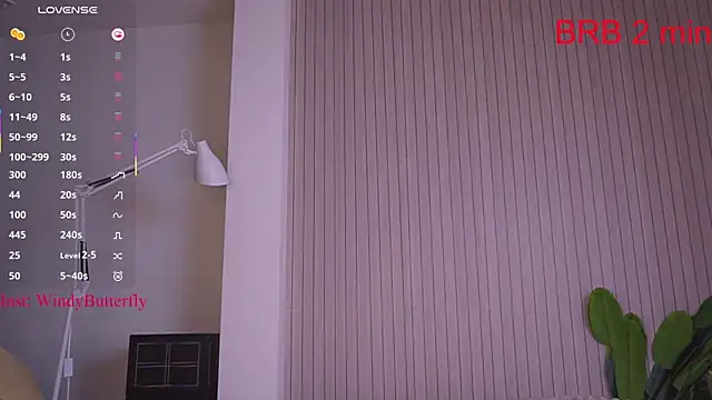 WindyButterfly online show from 04/21/26, 07:25