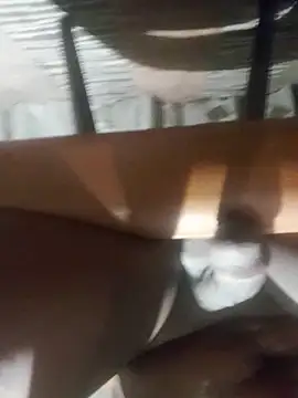 Cookiesucker2025 online show from 03/15/26, 11:55