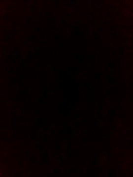 Snapshot of falcon2589 chatting on 02/25/26, 01:04 falcon2589 online show from 02/25/26, 01:04