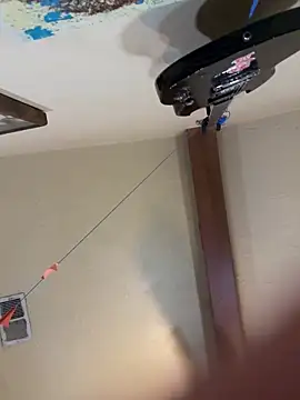 Snapshot of Link_and_Saria chatting on 03/01/26, 12:29 Link and Saria online show from 03/01/26, 12:29