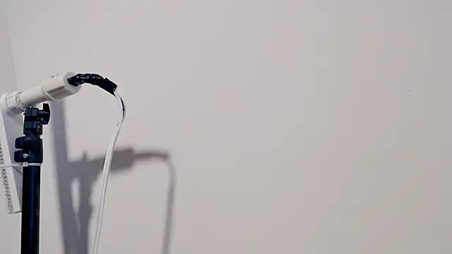 Snapshot of MARYXS1 chatting on 02/24/26, 12:58 MARYXS1 online show from 02/24/26, 12:58