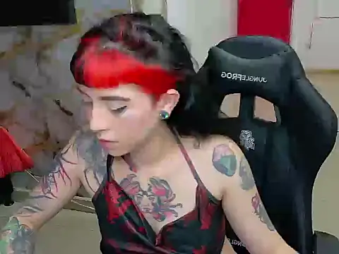 Snapshot of nova_kitttyy chatting on 02/20/26, 08:53 nova kitttyy online show from 02/20/26, 08:53