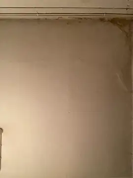 Snapshot of _Sabah_ chatting on 02/23/26, 10:07 Sabah online show from 02/23/26, 10:07