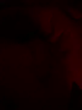 shark822 online show from 02/26/26, 09:03