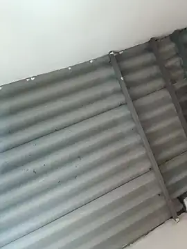 Snapshot of Little-Pussy19 chatting on 02/24/26, 03:43 Little-Pussy19 online show from 02/24/26, 03:43