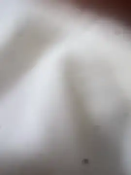 Snapshot of Jaybraconect chatting on 02/21/26, 05:08 Jaybraconect online show from 02/21/26, 05:08