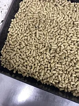 Elmanc online show from 02/26/26, 08:19