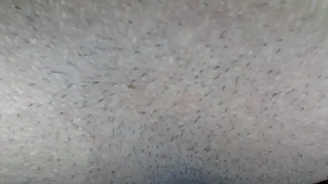 machodotado97 online show from 03/15/26, 05:13