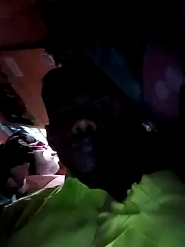 India-Sajan online show from 03/21/26, 06:51