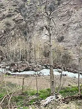 TurkeyMen online show from 04/08/26, 09:09