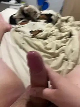 brunonovinho18 online show from 04/22/26, 02:25