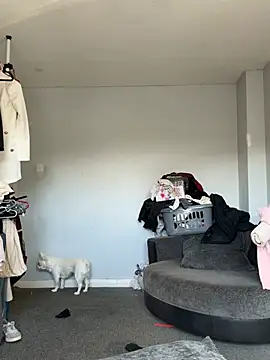 PinkVelvetx online show from 04/19/26, 02:38