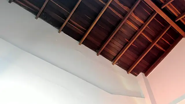 TonyPetrovjs online show from 04/01/26, 04:57