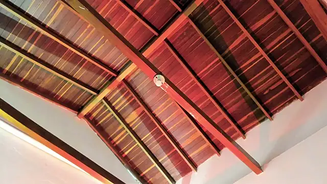 TonyPetrovjs online show from 04/03/26, 06:00