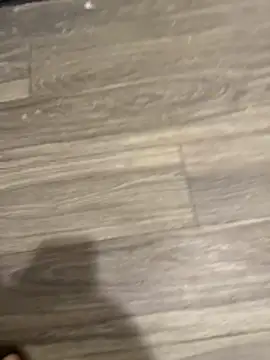 Snapshot of SavorredEscapist chatting on 02/26/26, 06:45 SavorredEscapist online show from 02/26/26, 06:45