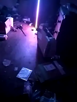 cexcitef online show from 03/03/26, 12:28