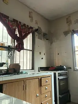 perritarebeldee online show from 04/22/26, 10:50